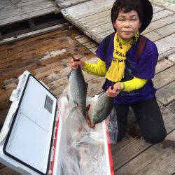 釣り堀水宝 釣果