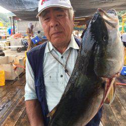 釣り堀水宝 釣果