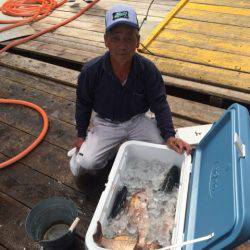 釣り堀水宝 釣果