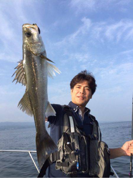 アマテラス 釣果