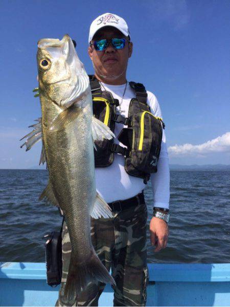 アマテラス 釣果