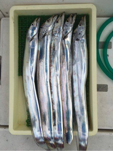 Ｖ−７ West 釣果