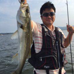 アマテラス 釣果