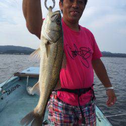 アマテラス 釣果