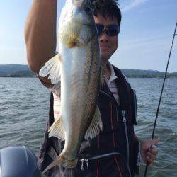 アマテラス 釣果