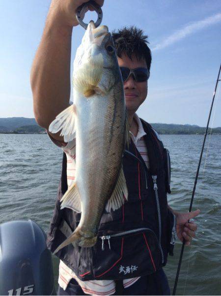 アマテラス 釣果