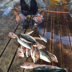 釣り堀水宝 釣果