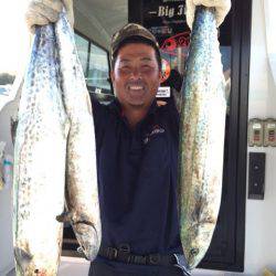 ビッグファイター 釣果