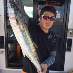 ビッグファイター 釣果