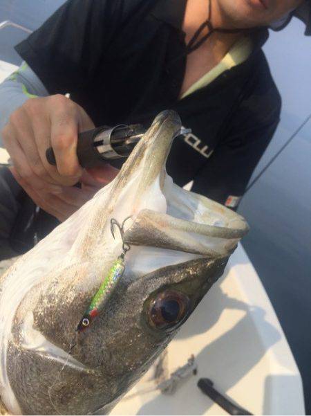 「LaGooN」蒼陽丸 日和号　 釣果