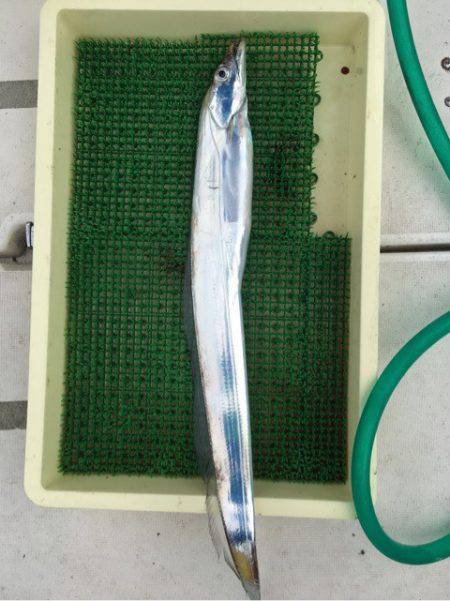 Ｖ−７ West 釣果