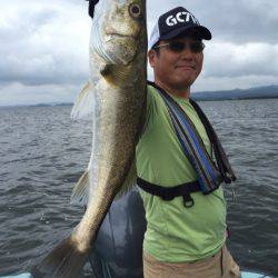 アマテラス 釣果