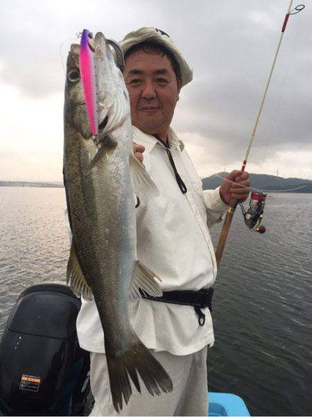 アマテラス 釣果