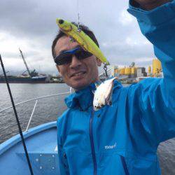 アマテラス 釣果