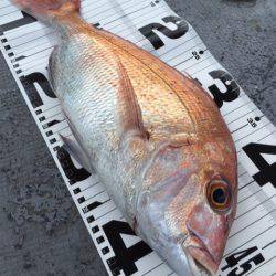 第二 海洋丸 釣果