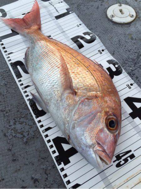 第二 海洋丸 釣果