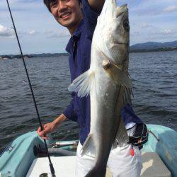 アマテラス 釣果