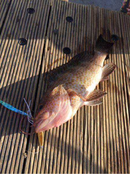 第二 海洋丸 釣果