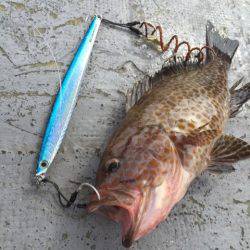 第二 海洋丸 釣果