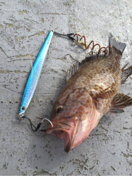 第二 海洋丸 釣果