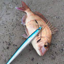 第二 海洋丸 釣果