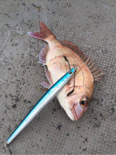 第二 海洋丸 釣果