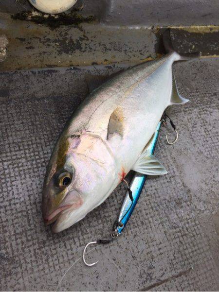 第二 海洋丸 釣果