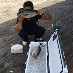 釣り堀水宝 釣果