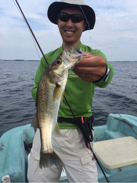 アマテラス 釣果