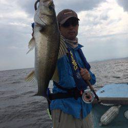 アマテラス 釣果