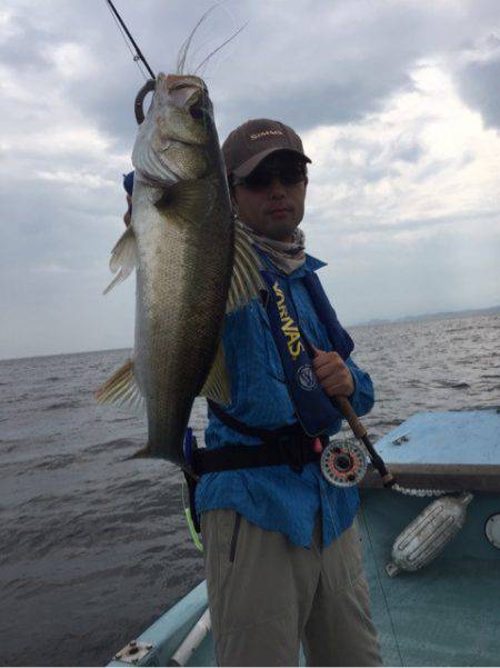 アマテラス 釣果