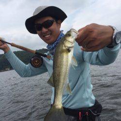 アマテラス 釣果