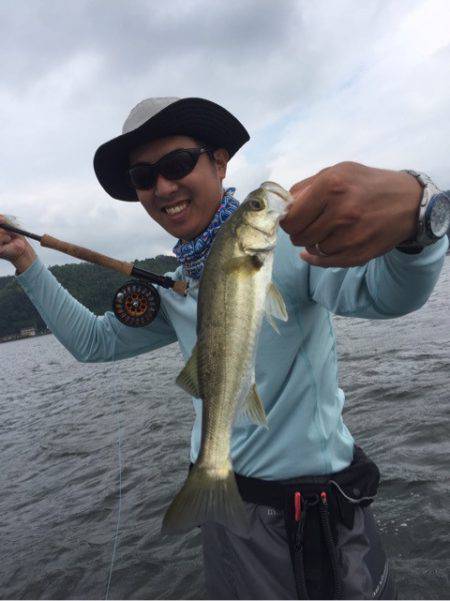 アマテラス 釣果