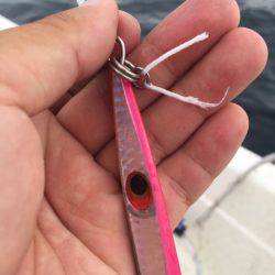 「LaGooN」蒼陽丸 日和号 釣果