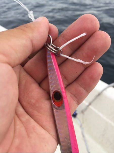 「LaGooN」蒼陽丸 日和号 釣果