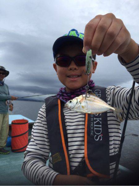 アマテラス 釣果