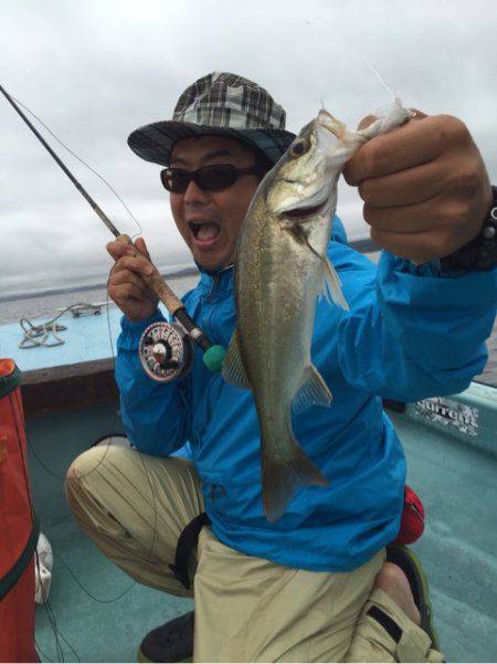 アマテラス 釣果