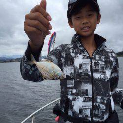 アマテラス 釣果