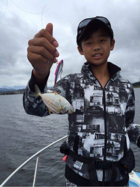 アマテラス 釣果