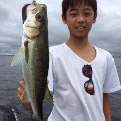 アマテラス 釣果