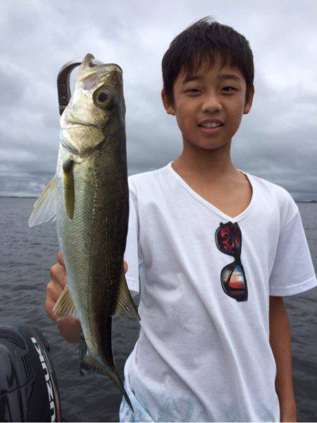 アマテラス 釣果