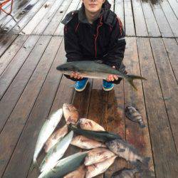 釣り堀水宝 釣果