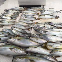 ビッグファイター 釣果