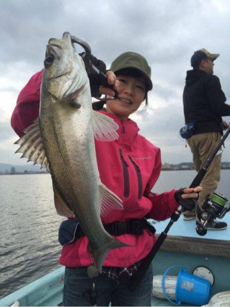 アマテラス 釣果