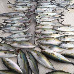 ビッグファイター 釣果