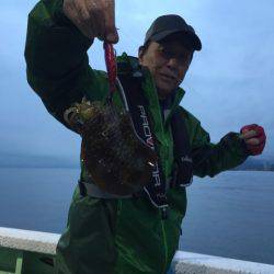 ヤザワ渡船 釣果