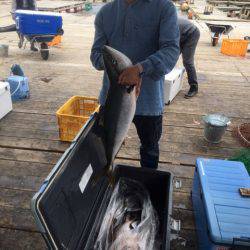 釣り堀水宝 釣果
