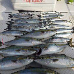 ビッグファイター 釣果