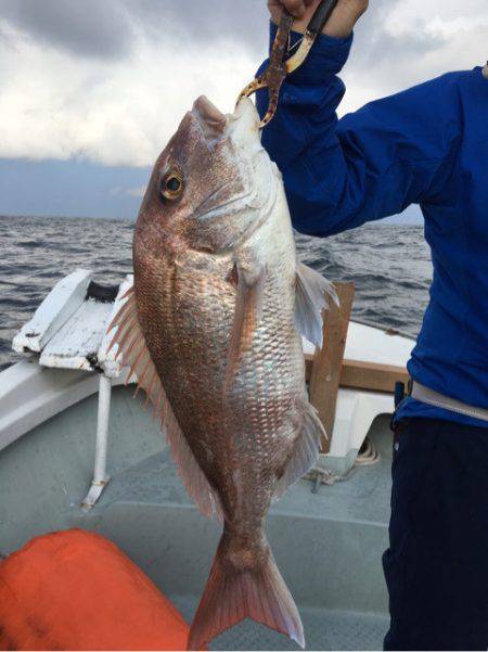さくら丸 釣果