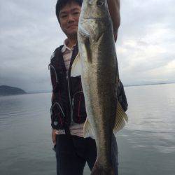 アマテラス 釣果